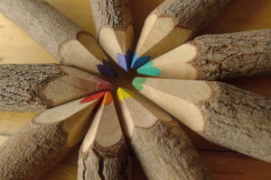 Temas e supostos. Servizos á Comunidade. 